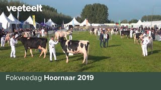 Fokveedag Hoornaar 2019 [upl. by Ecertak]