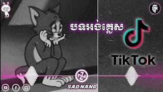 បទអង់គ្លេសសេដល្បីក្នុង tik tok 2022  Song english in tiktok Sad [upl. by Kerrin]