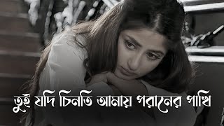 তুই যদি চিনতি আমায় পরানের পাখি  Tui Jodi Chinti Amay Poraner Pakhi  Slowed Reverb Bangla New Song [upl. by Mae]