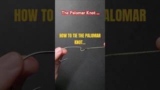 How to tie the Palomar Knot shorts [upl. by Kimbell23]