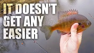 Bluegill Bobber Fishing Beginners Guide How To Catch Bluegill [upl. by Patti481]