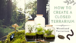 How to Create a Closed Native Terrarium  Ecosystem in a Jar [upl. by Dranyl]