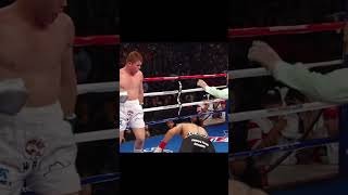 CANELO ALVAREZ VS CARLOS BALDOMIR Baldomir Tidur di Ronde 6 shortsfeed shortsviral tinjudunia [upl. by Aihsened]