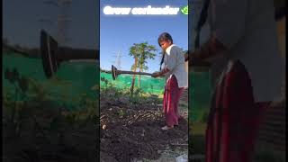 Planting coriander 🌿 srijana vegetablegardening￼kitchen GardenAptroseandburnomars [upl. by Savell]