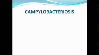 Campylobacteriosis ppt [upl. by Aretak]