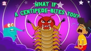 What if a Centipede Bites You  Are Centipedes Poisonous  Deadliest Insects  The Dr Binocs Show [upl. by Alvin874]