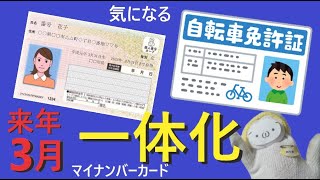 マイナ免許証のニュースについて深堀してみた [upl. by Trimble416]