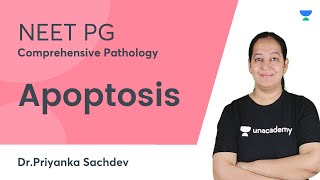 Apoptosis  Comprehensive Pathology  NEET PG  DrPriyanka Sachdev [upl. by Lindie]