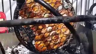 Awesome gyroscopic grill [upl. by Angele]