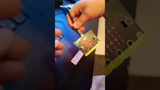 Starting the microbit [upl. by Eseuqram767]