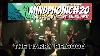 VL PRESENTS MINDPHONIC20THE HARRY BE GOOD [upl. by Omari70]