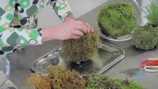 How to Make a Moss Kokedama Ball Floristry Tutorial [upl. by Vally]