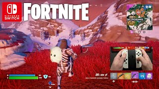 HANDCAM Fortnite Gameplay on Nintendo Switch 62 [upl. by Cramer]