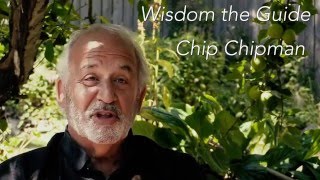 Wisdom our guide  Chip Chipman [upl. by Ennairol]