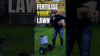 When is the best time to use fertiliser for the best lawncare results shorts [upl. by Fraze]