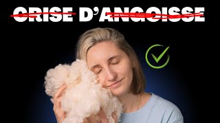 ASMR Pour Ceux Qui Font Souvent Des Crises d’Angoisse ❌ [upl. by Adnolat]