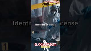 🔍💥 ¡DESCUBRE cómo los EXPERTOS FORENSES resuelven los misterios de una ESCENA DEL CRIMEN 💥🔍 [upl. by Laro82]