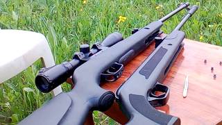 Gamo vs China penetration test  gamo shadow 1000  gamo air rifle accuracy test [upl. by Bushey568]