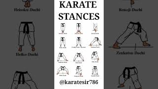 MOST IMPORTANT SHOTOKAN KARATE STANCES  karatesir karate shotokankarate [upl. by Sergio17]