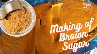 BROWN SUGAR TRADITIONAL MAKING PROCEDURE  HOW TO MAKE BROWN SUGAR WITH SUGAR CANE  Hadias Cooking [upl. by Hennessey110]