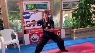 Chen Tai Chi 8 Form energy release [upl. by Aiekan]