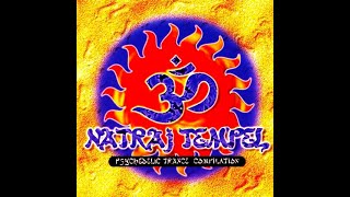 Natraj Temple Polytox Records 1996 [upl. by Andi870]