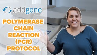 Polymerase Chain Reaction PCR Protocol [upl. by Strohbehn]