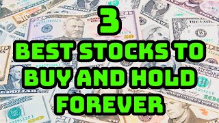 3 Best Stocks to Buy and Hold FOREVER [upl. by Ballman]