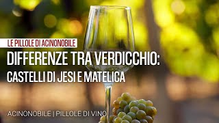 Differenze tra Verdicchio dei Castelli di Jesi e Verdicchio di Matelica [upl. by Gorges]