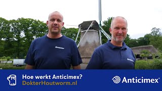 Hoe werkt Anticimex bij het bestrijden van houtworm en boktor [upl. by Ymma]