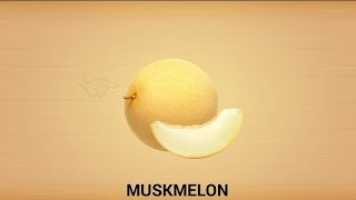 How to puzzle Muskmelon [upl. by Sofer741]