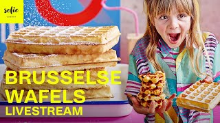 Heerlijke Brusselse Wafels  Sofie Dumont  Livestream [upl. by Shandra]