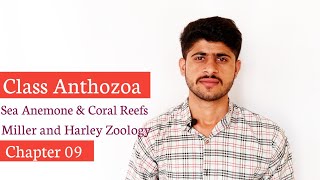 Anthozoa meaning in Hindi  Anthozoa meaning  Anthozoa synonym  Anthozoa Example [upl. by Tiphanie419]