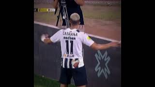 Saldanha 🇧🇷🐐 edit partizan saldanha serbia braziliansoccer [upl. by Depoliti42]