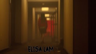 Elisa Lam Elevator [upl. by Toblat592]