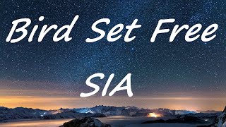 Sia  BIRD SET FREE Lyrics Video [upl. by Hoagland]