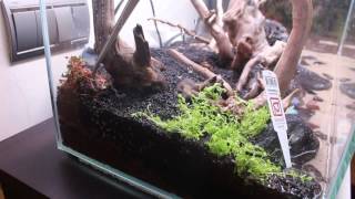 Montaje acuario plantado desde cero  Aquascaping parte 2 [upl. by Liesa]