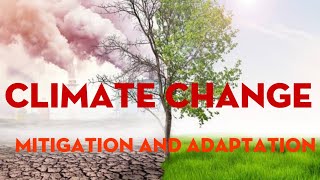 MITIGATION AND ADAPTATION IN CLIMATE CHANGE [upl. by Mellar]