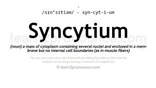 Syncytium pronunciation and definition [upl. by Hayotal]