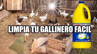 COMO LIMPIAR Y DESINFECTAR TU GALLINERO PARA QUE TUS GALLINAS ESTÉN LIMPIASEl corralico de Dani [upl. by Dibru6]