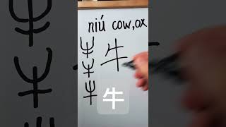 Easy Chinese Writing Chinese farm animals 牛 niú 우 137 [upl. by Ohcirej]