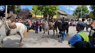 desfile Gaucho Fiesta del Pehuen Alumine 2024 [upl. by Hsoj280]