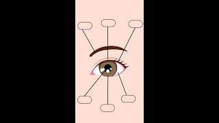 Parts of the Eye  External Anatomy of the Eye  Anatomy of the Outer Eye  BalyanakTV [upl. by Agustin]