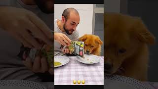 Sorry dog 🐶 petcommunity funny funnydog petloversunite pets duet funnypet funnyanimal funny [upl. by Joella]