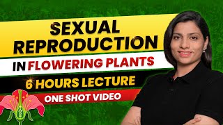 Sexual Reproduction in Flowering Plants Class 12 One Shot All Theory amp PYQs NEET 2024 Ritu Rattewal [upl. by Led289]