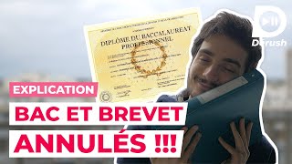 LE BAC ET LE BREVET ANNULÉS 😱 JE T’EXPLIQUE TOUT [upl. by Cordle]