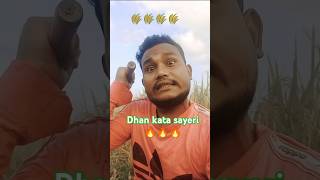 Gariber jala 😭😭shorts ytshorts sad garibi [upl. by Idok]