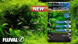 Fluval BioStratum  Volcanic Soil for Planted Aquariums [upl. by Cynthla]