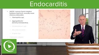 Endocarditis Definition Pathology Classification amp Diagnosis – Infectious Diseases  Lecturio [upl. by Atiugram]