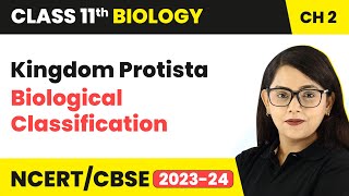 Kingdom Protista  Biological Classification  Class 11 Biology Chapter 2  NCERTCBSE [upl. by Odnaloy]